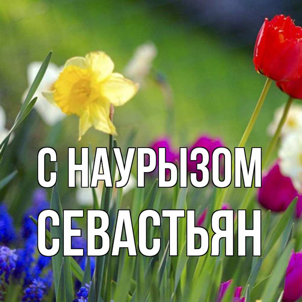 Открытка на каждый день с именем, Севастьян С наурызом праздник весны наурыз 3 Прикольная открытка с пожеланием онлайн скачать бесплатно 