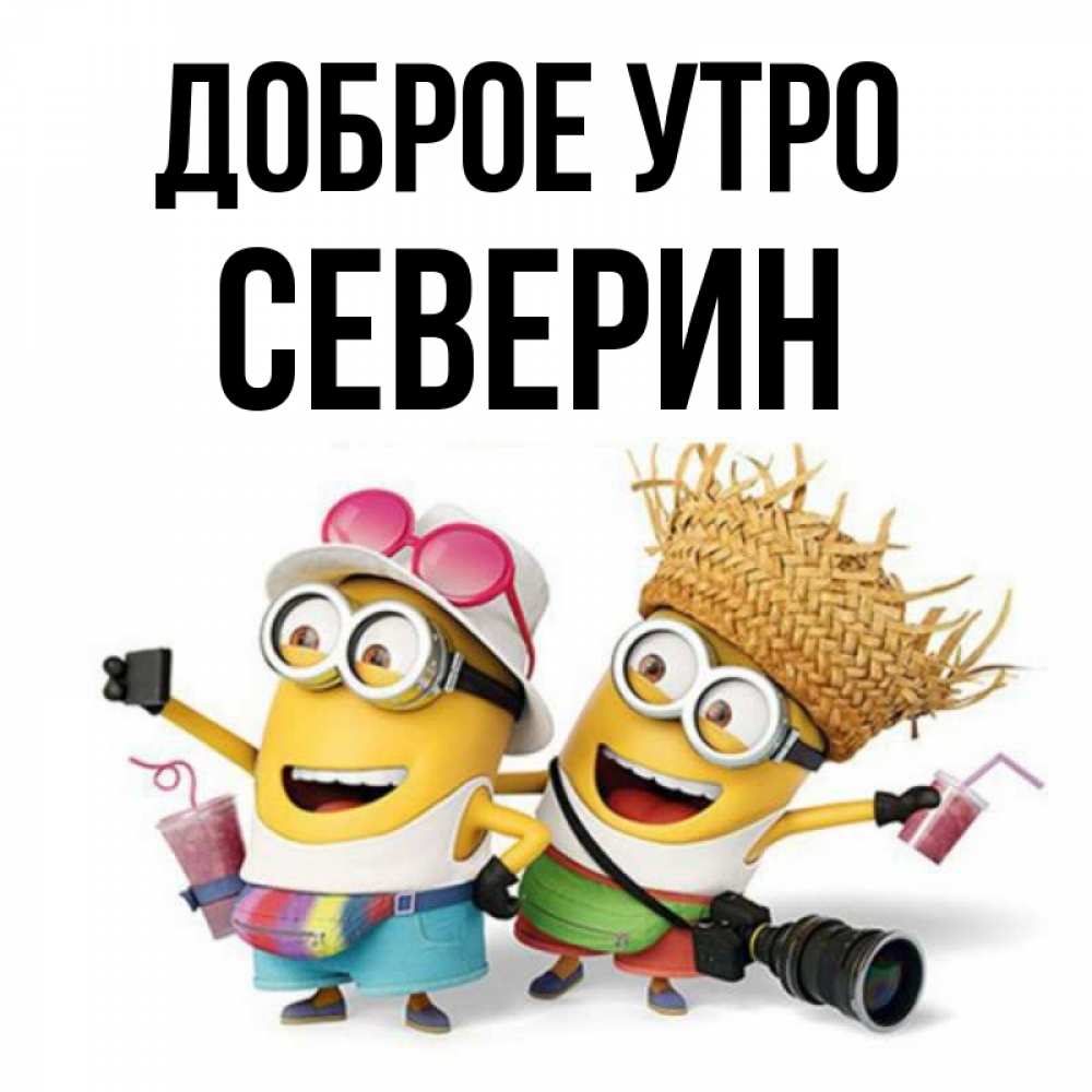 Открытка на каждый день с именем, Северин Доброе утро карнавал Прикольная открытка с пожеланием онлайн скачать бесплатно 
