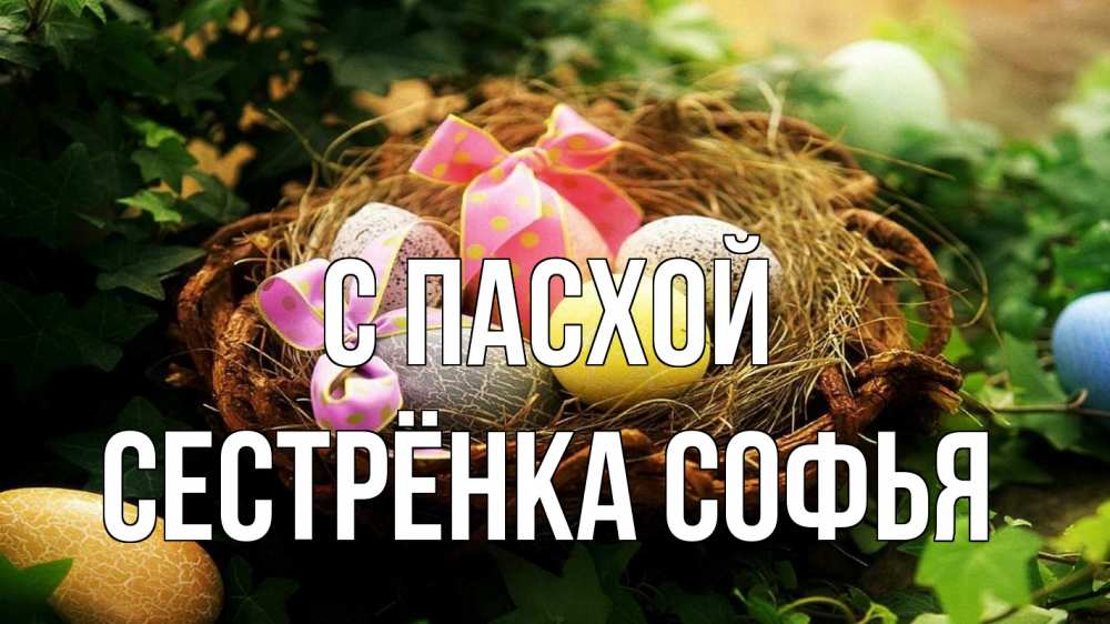 Открытка на каждый день с именем, Сестрёнка-Софья С пасхой пасха Прикольная открытка с пожеланием онлайн скачать бесплатно 