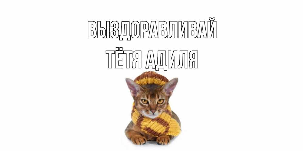 Открытка на каждый день с именем, Тётя-Адиля Выздоравливай родные не болейте Прикольная открытка с пожеланием онлайн скачать бесплатно 