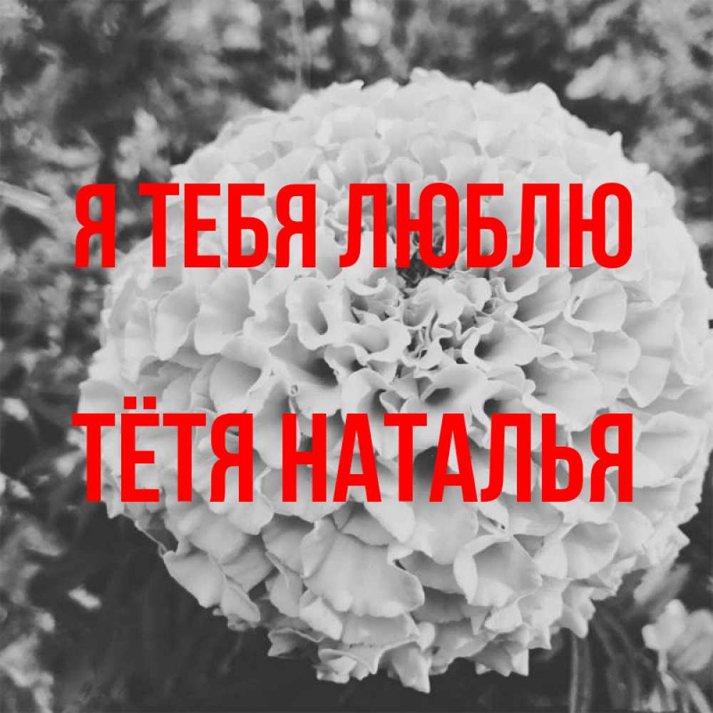 Открытка на каждый день с именем, Тётя-Наталья Я тебя люблю подпись Прикольная открытка с пожеланием онлайн скачать бесплатно 
