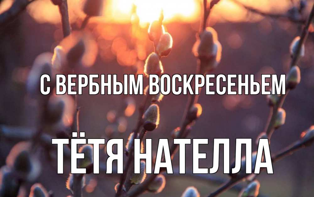 Открытка на каждый день с именем, Тётя-Нателла С вербным воскресеньем верба Прикольная открытка с пожеланием онлайн скачать бесплатно 