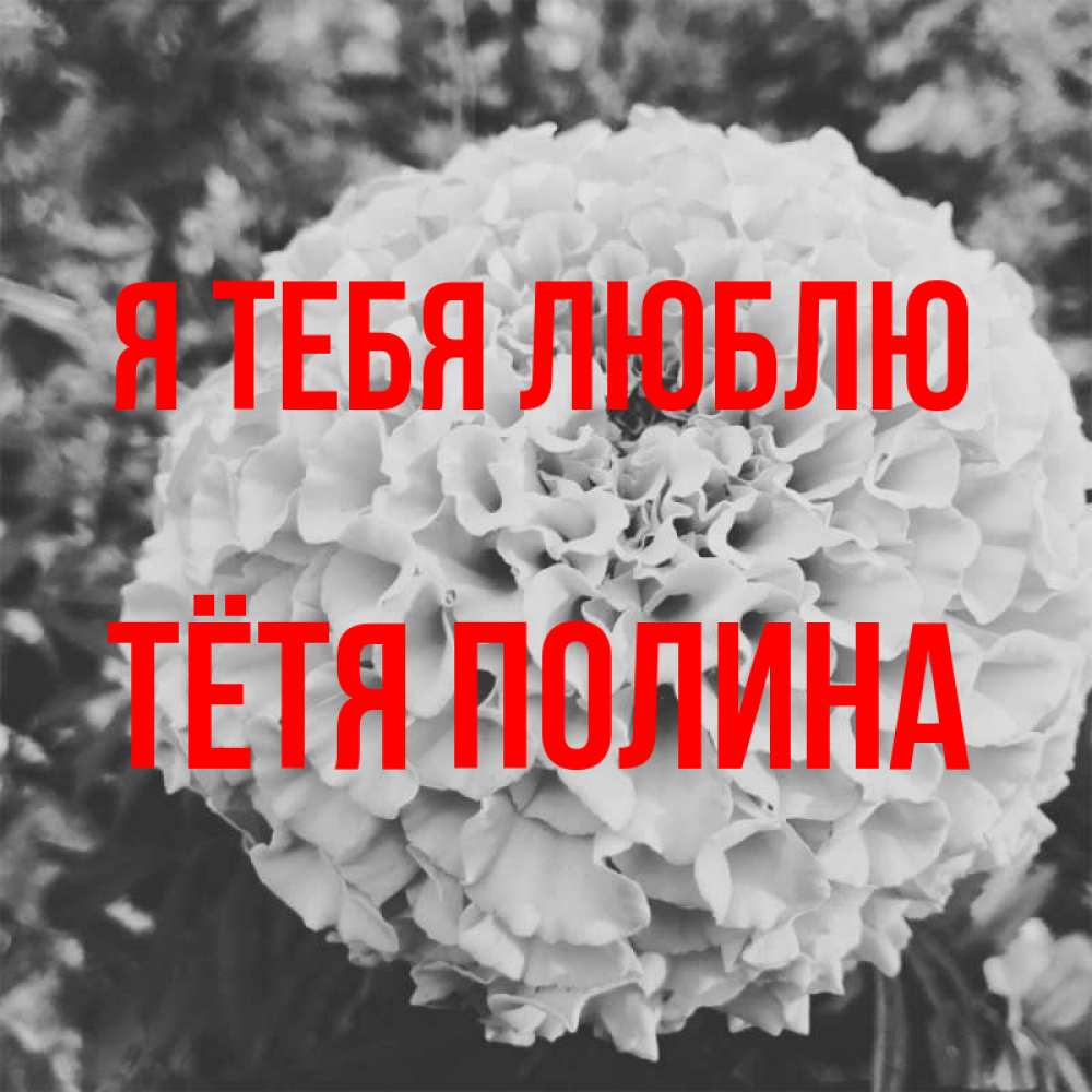 Открытка на каждый день с именем, Тётя-Полина Я тебя люблю подпись Прикольная открытка с пожеланием онлайн скачать бесплатно 