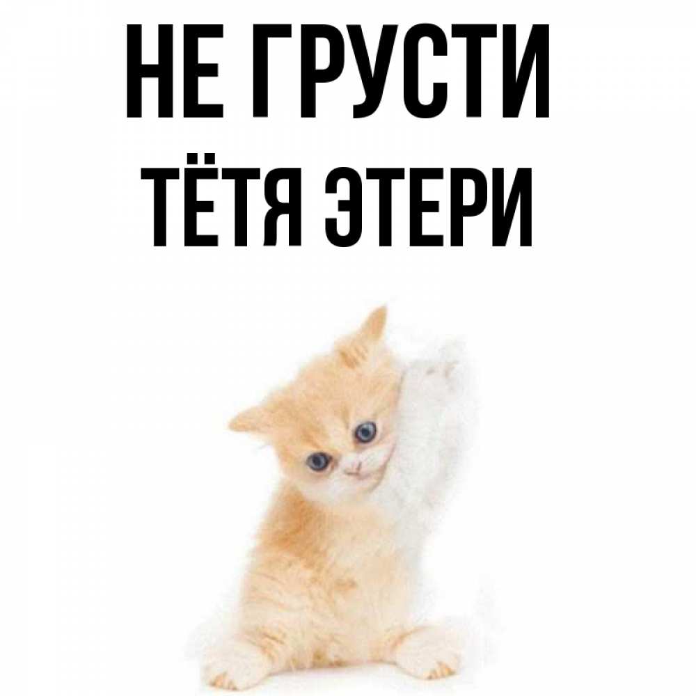 Открытка на каждый день с именем, Тётя-Этери Не грусти просящий кот Прикольная открытка с пожеланием онлайн скачать бесплатно 