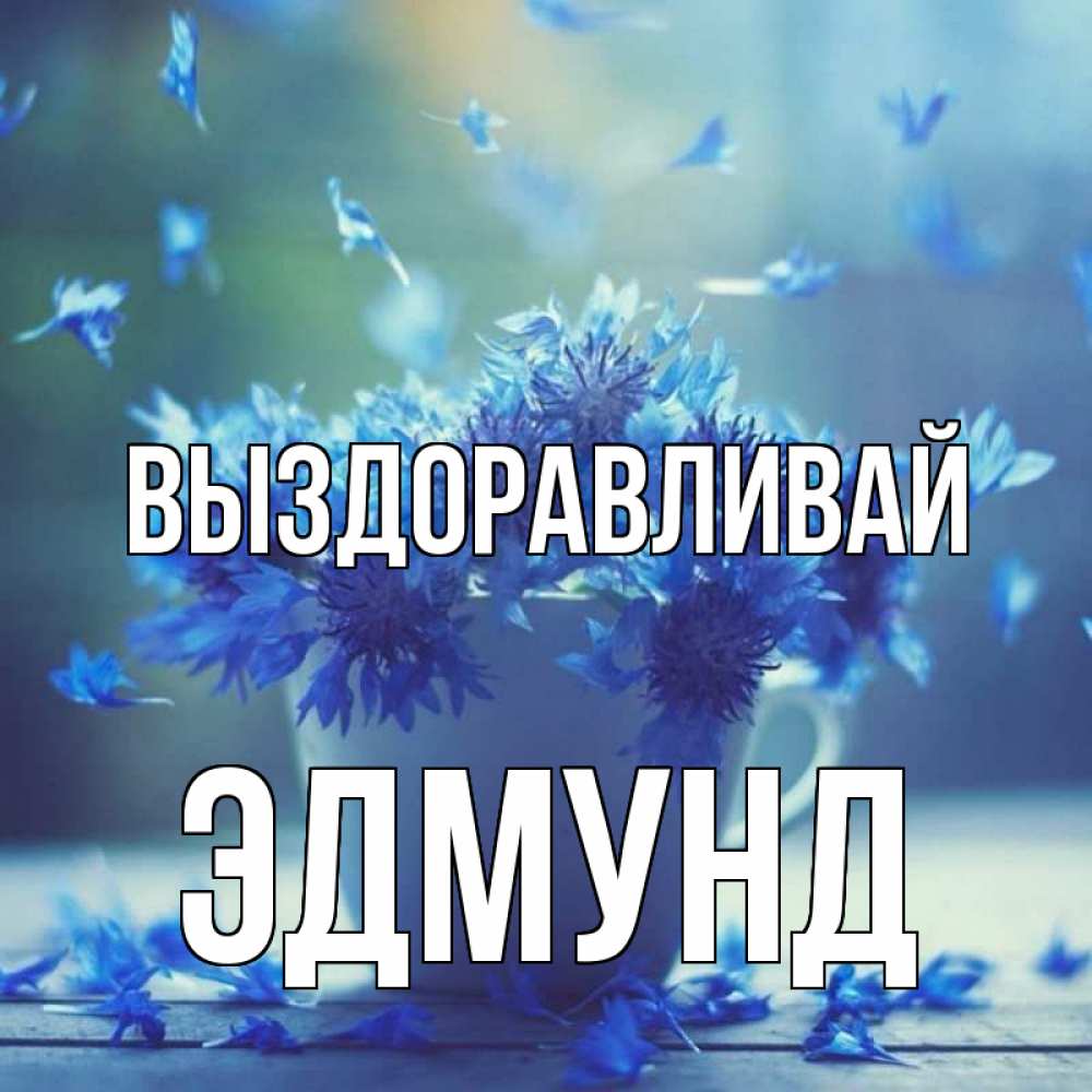 Открытка на каждый день с именем, Эдмунд Выздоравливай кружка с зельем и цветами Прикольная открытка с пожеланием онлайн скачать бесплатно 