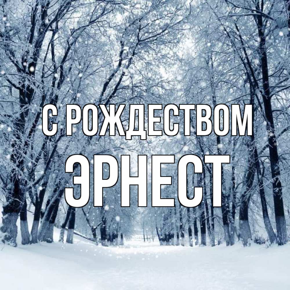 Открытка на каждый день с именем, Эрнест С рождеством снег, лес, парк Прикольная открытка с пожеланием онлайн скачать бесплатно 