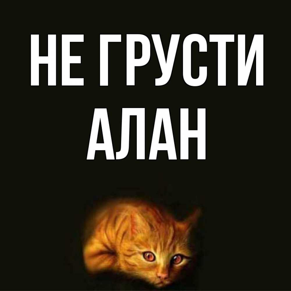 Открытка на каждый день с именем, Алан Не грусти лежащий кот в темноте Прикольная открытка с пожеланием онлайн скачать бесплатно 