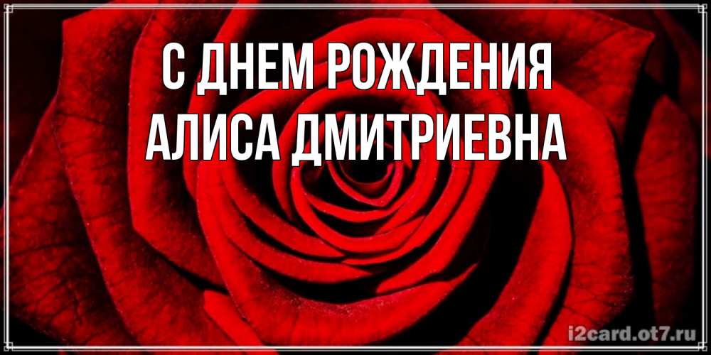 Открытка на каждый день с именем, Алиса-Дмитриевна С днем рождения алая роза Прикольная открытка с пожеланием онлайн скачать бесплатно 