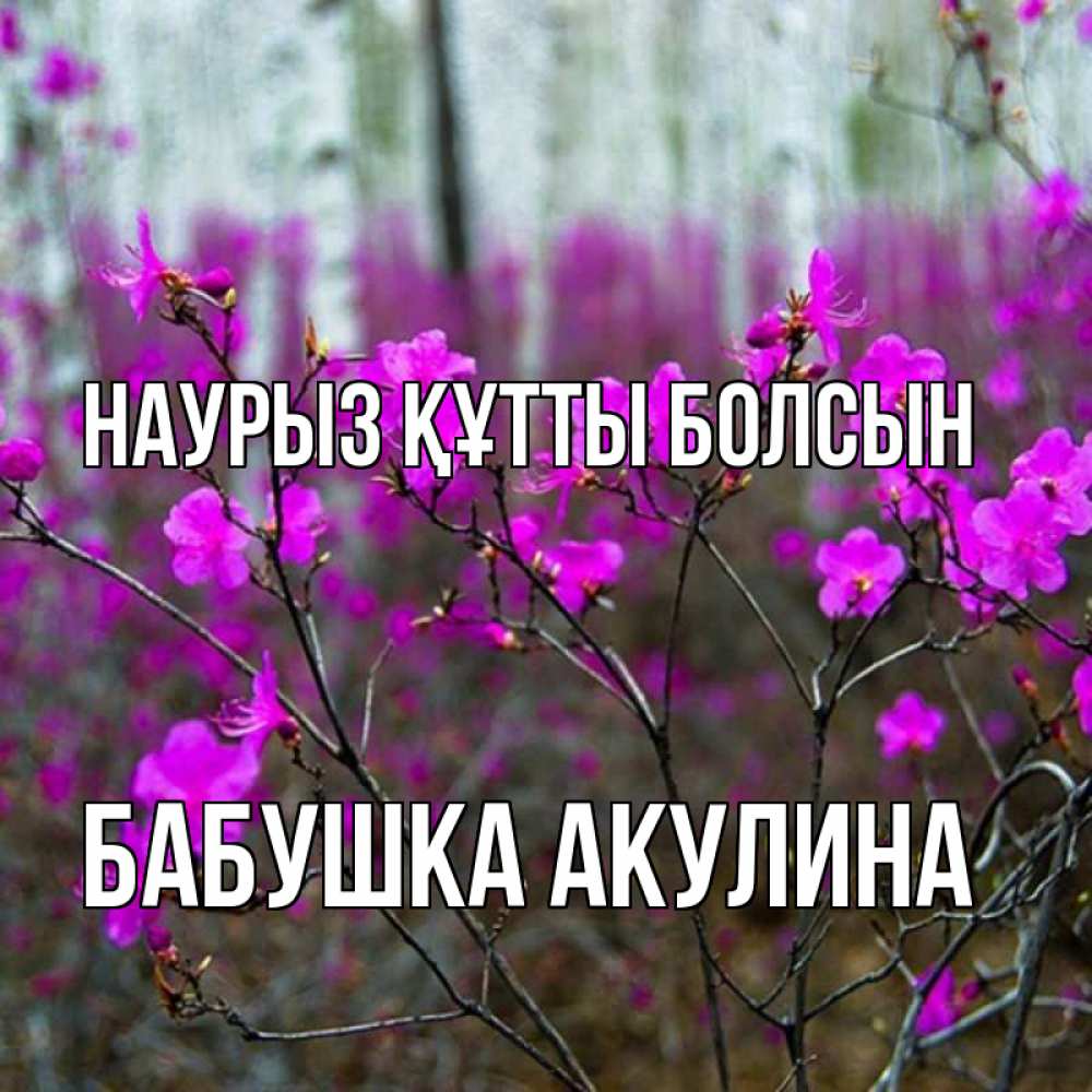Открытка на каждый день с именем, Бабушка-Акулина Наурыз құтты болсын дикие цветы Прикольная открытка с пожеланием онлайн скачать бесплатно 