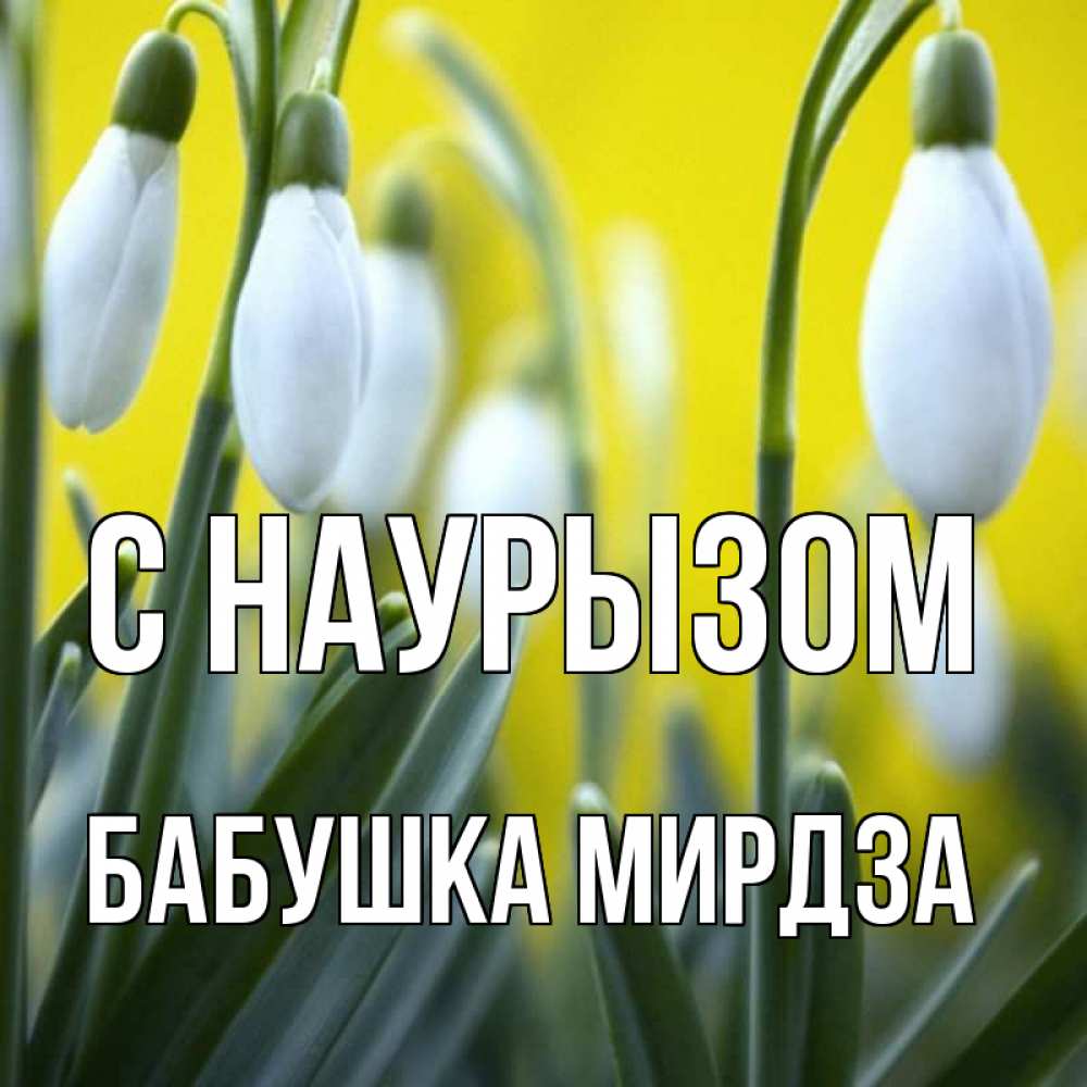 Открытка на каждый день с именем, Бабушка-Мирдза С наурызом весенние цветы Прикольная открытка с пожеланием онлайн скачать бесплатно 