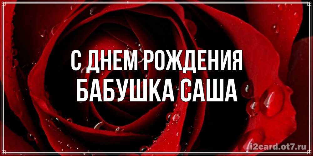 Открытка на каждый день с именем, Бабушка-Саша С днем рождения крупная бордовая роза Прикольная открытка с пожеланием онлайн скачать бесплатно 