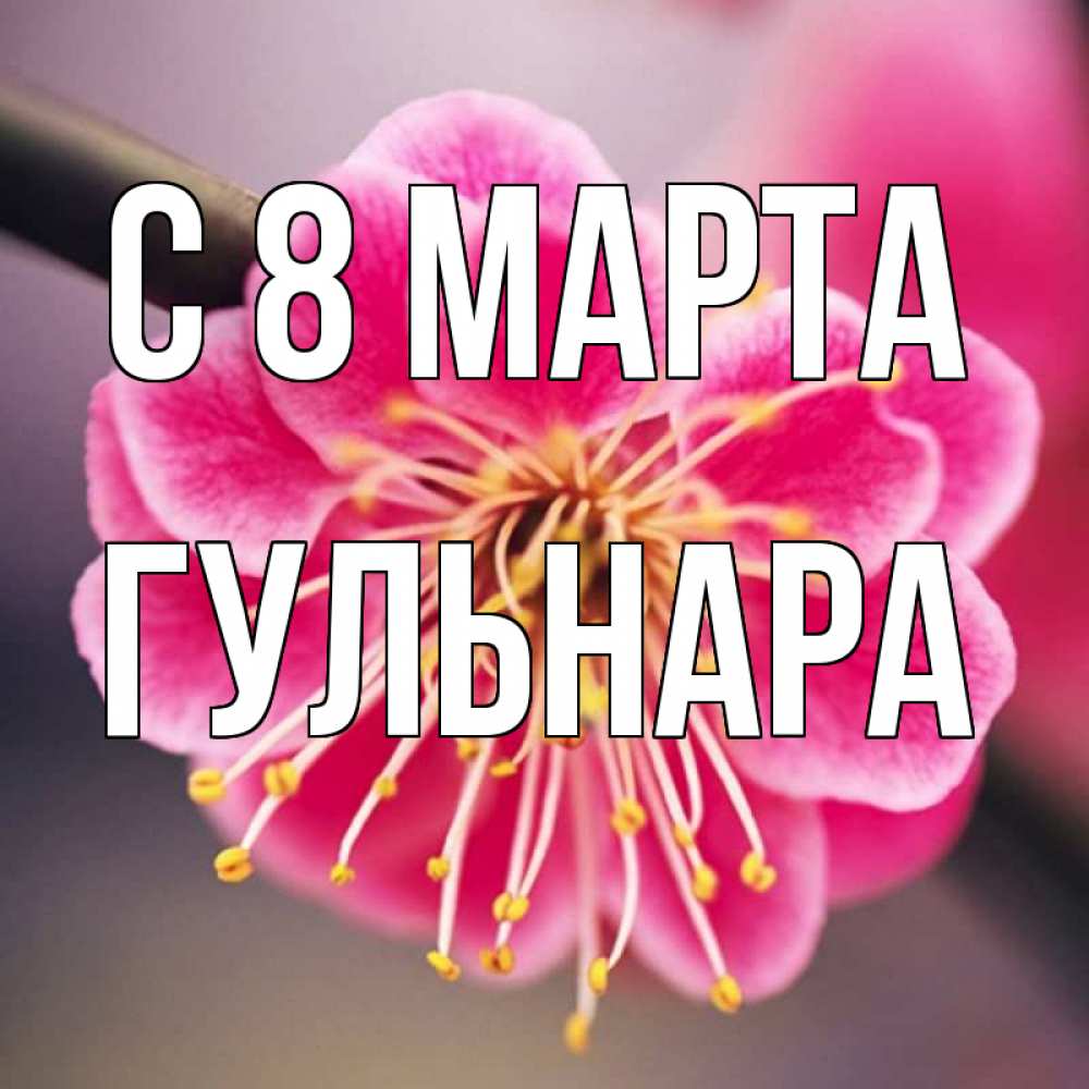 Открытка на каждый день с именем, Гульнара С 8 МАРТА цветы Прикольная открытка с пожеланием онлайн скачать бесплатно 