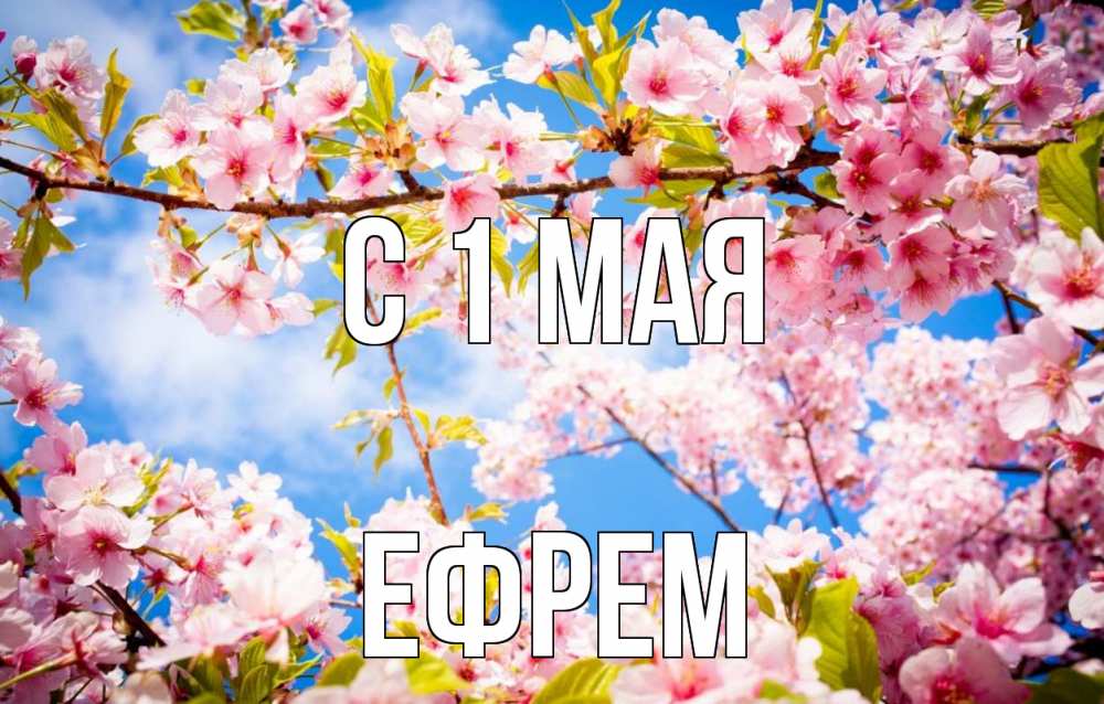 Открытка на каждый день с именем, Ефрем С 1 мая С 1 мая Прикольная открытка с пожеланием онлайн скачать бесплатно 