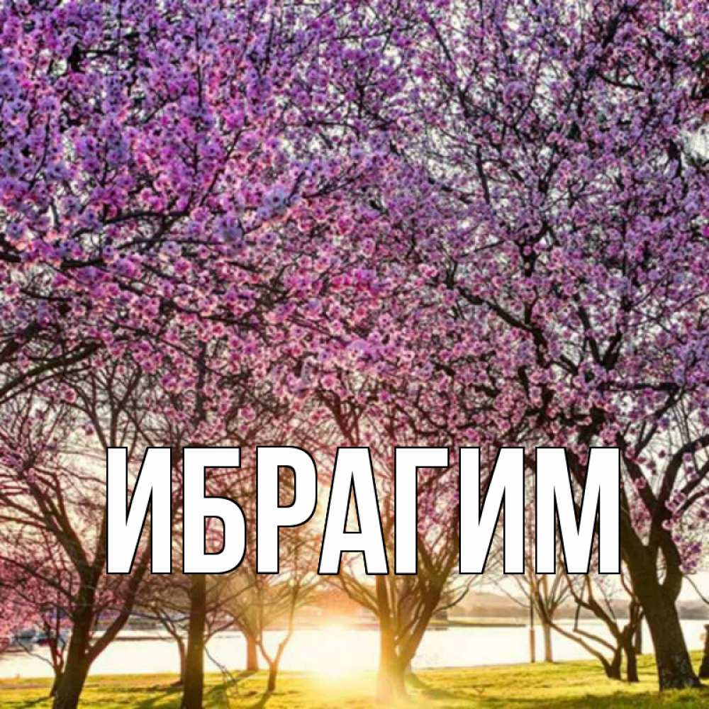 Открытка на каждый день с именем, Ибрагим Главная международный женский день Прикольная открытка с пожеланием онлайн скачать бесплатно 