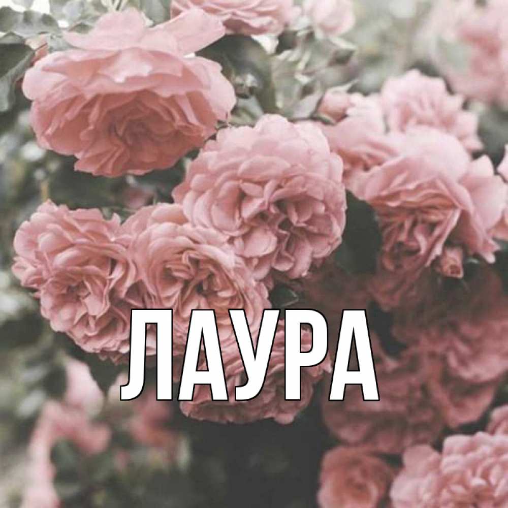 Открытка на каждый день с именем, Лаура Главная розы 3 Прикольная открытка с пожеланием онлайн скачать бесплатно 