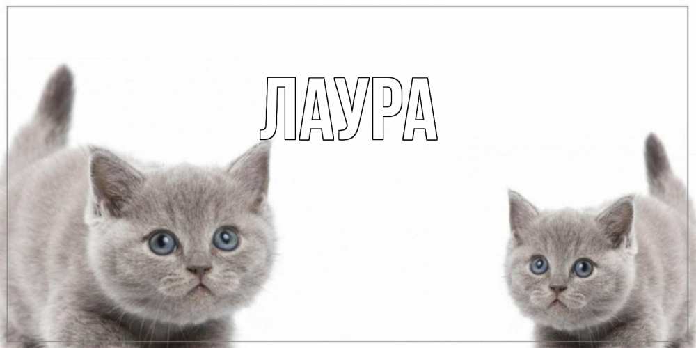 Открытка на каждый день с именем, Лаура Главная коты Прикольная открытка с пожеланием онлайн скачать бесплатно 