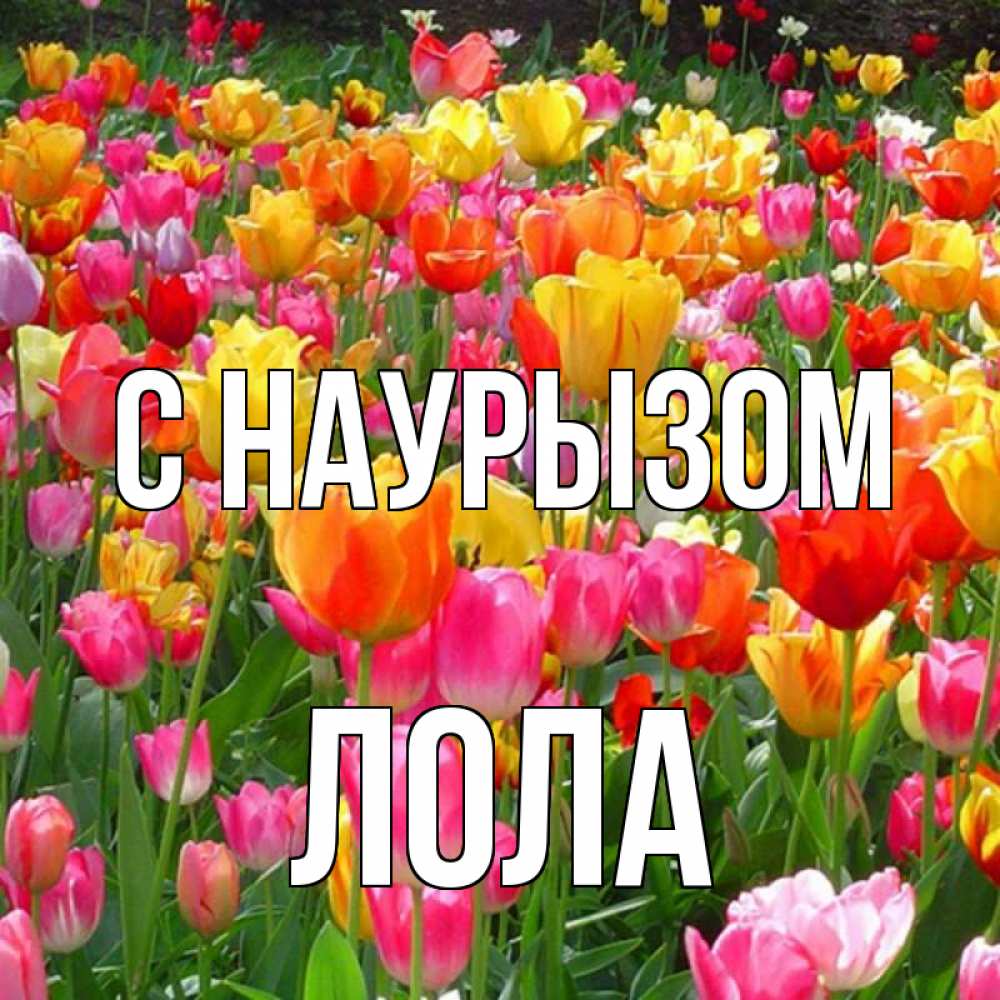 Открытка на каждый день с именем, Лола С наурызом праздник весны наурыз 4 Прикольная открытка с пожеланием онлайн скачать бесплатно 