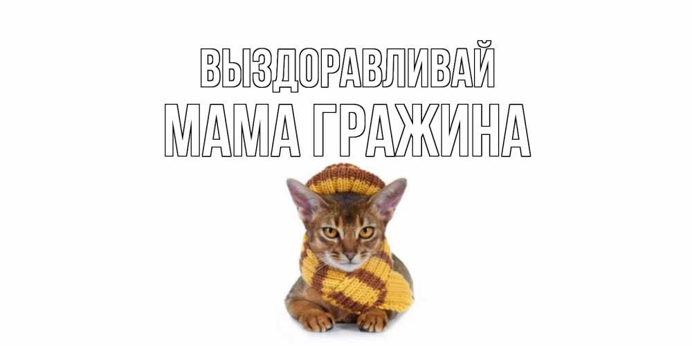Открытка на каждый день с именем, Мама-Гражина Выздоравливай родные не болейте Прикольная открытка с пожеланием онлайн скачать бесплатно 