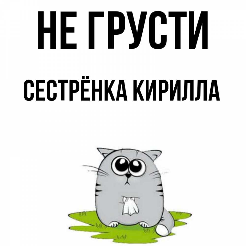 Открытка на каждый день с именем, Сестрёнка-Кирилла Не грусти грустный котяра Прикольная открытка с пожеланием онлайн скачать бесплатно 