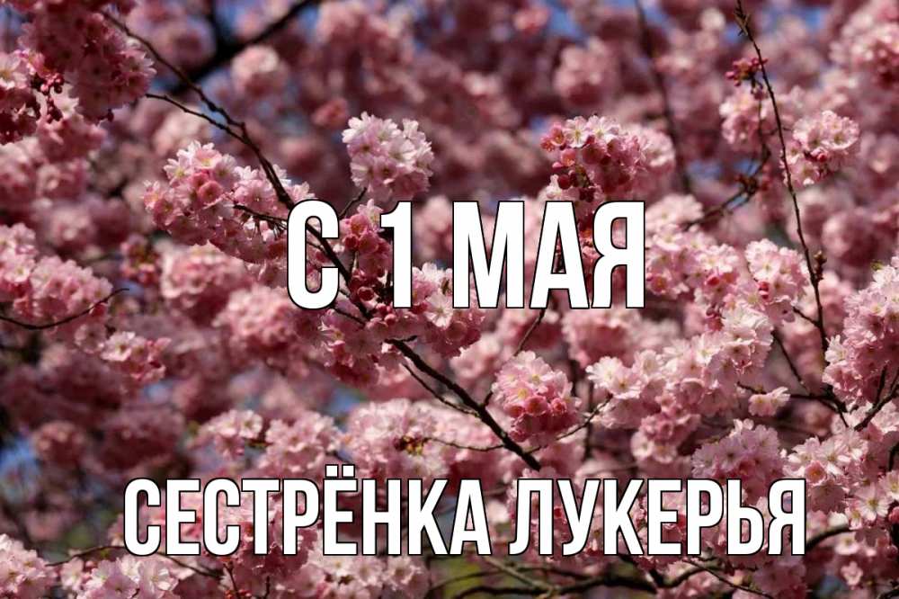 Открытка на каждый день с именем, Сестрёнка-Лукерья С 1 мая С 1 мая Прикольная открытка с пожеланием онлайн скачать бесплатно 
