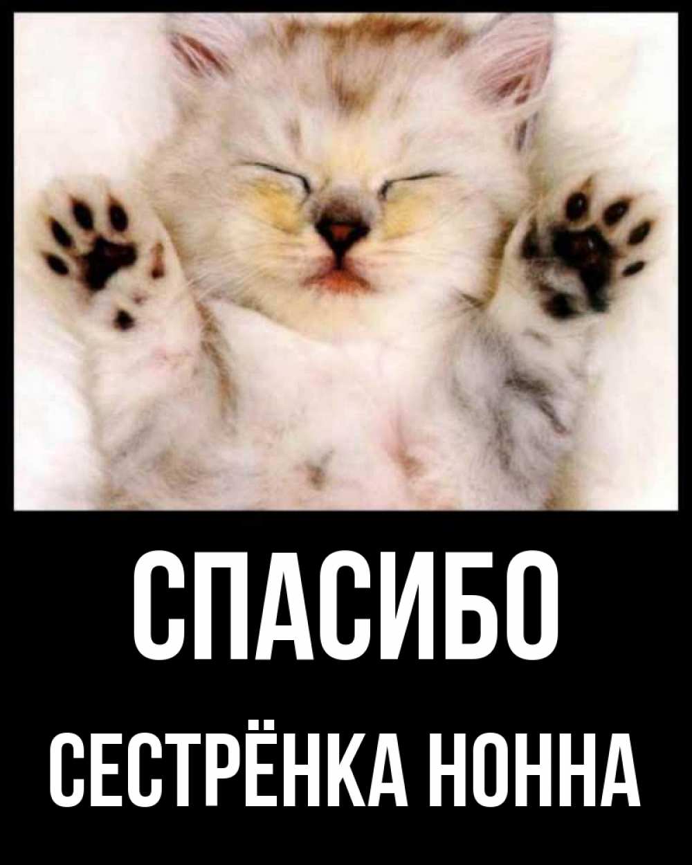 Открытка на каждый день с именем, Сестрёнка-Нонна Спасибо маленький котенок Прикольная открытка с пожеланием онлайн скачать бесплатно 