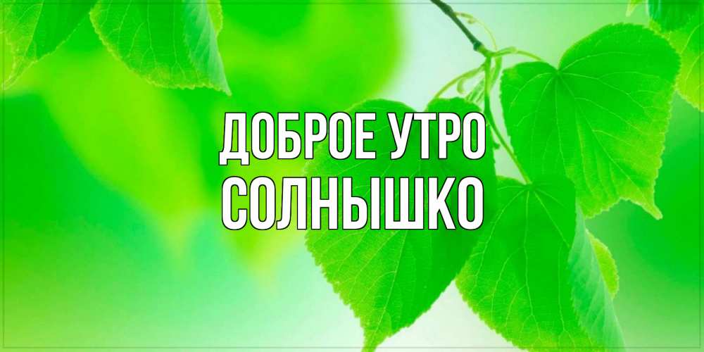 Открытка на каждый день с именем, Солнышко Доброе утро доброе утро с березовыми листьями Прикольная открытка с пожеланием онлайн скачать бесплатно 