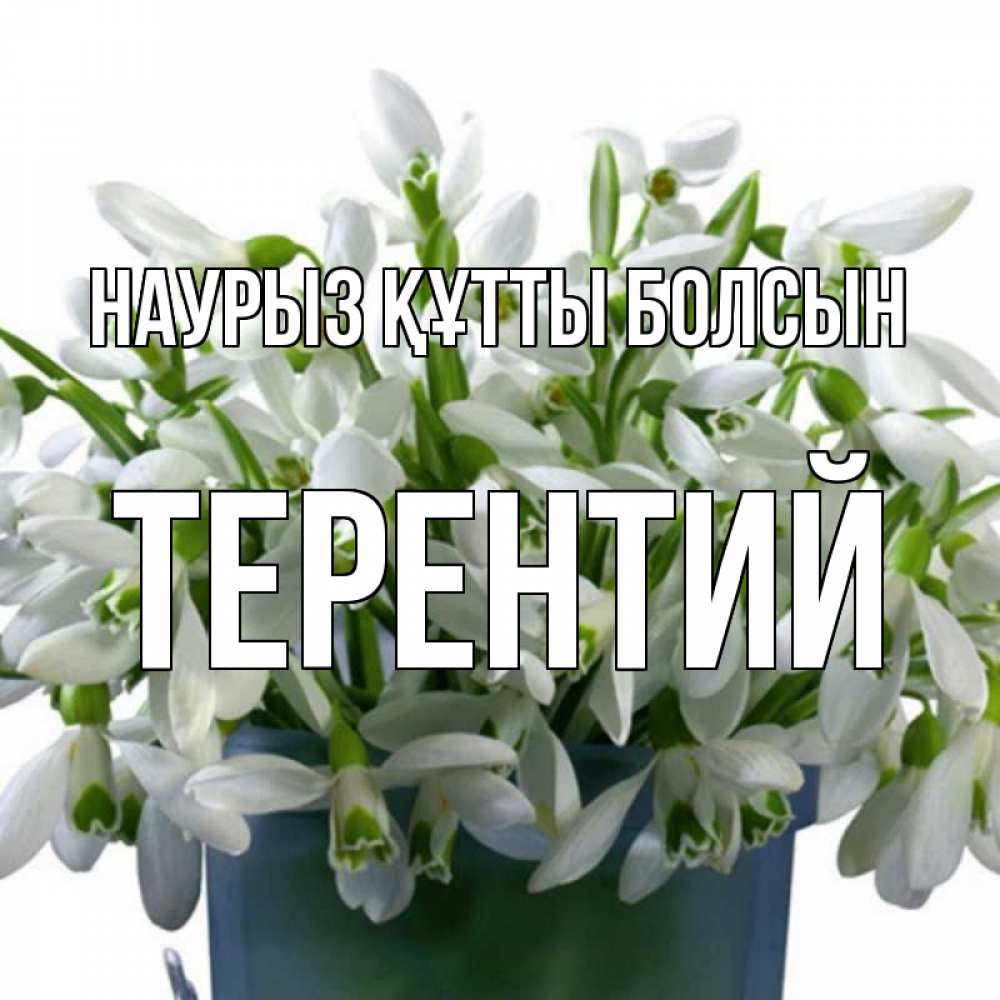 Открытка на каждый день с именем, Терентий Наурыз құтты болсын цветы к наурызу Прикольная открытка с пожеланием онлайн скачать бесплатно 