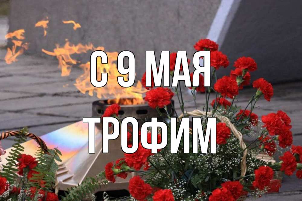 Открытка на каждый день с именем, Трофим С 9 мая 9 мая Прикольная открытка с пожеланием онлайн скачать бесплатно 