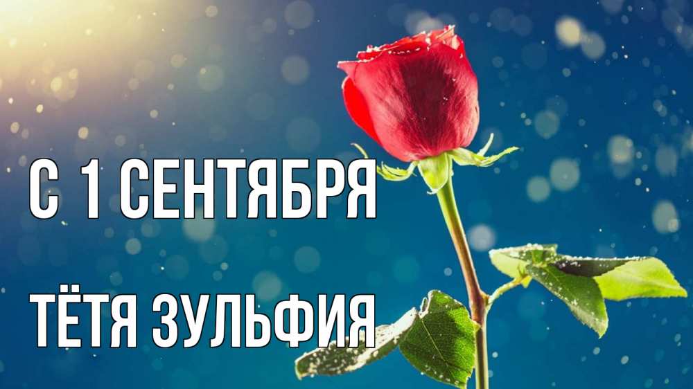 Открытка на каждый день с именем, Тётя-Зульфия С 1 сентября с днем знаний Прикольная открытка с пожеланием онлайн скачать бесплатно 