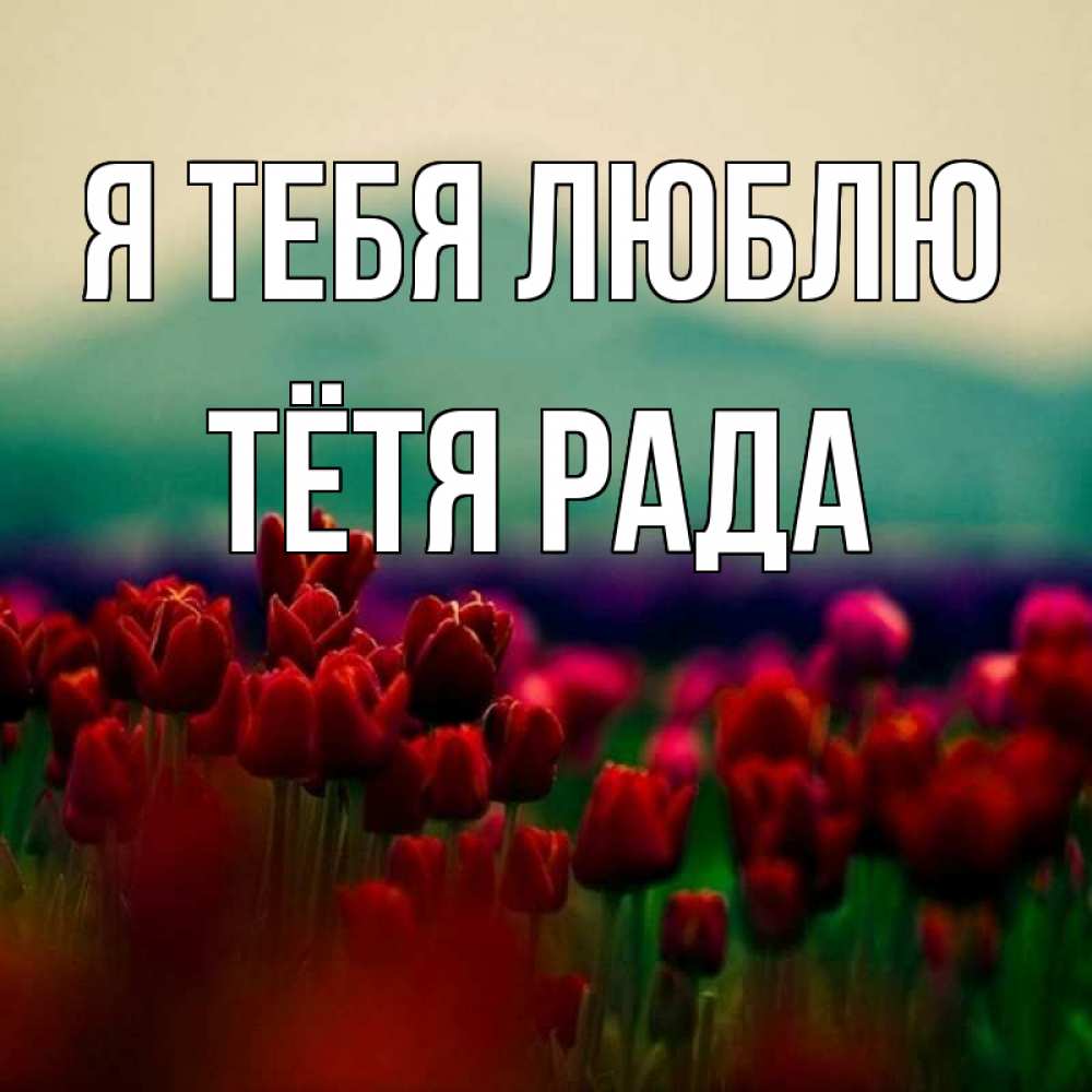 Открытка на каждый день с именем, Тётя-Рада Я тебя люблю тюльпаны 4 Прикольная открытка с пожеланием онлайн скачать бесплатно 