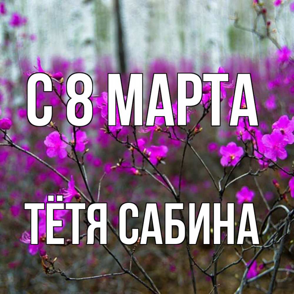 Открытка на каждый день с именем, Тётя-Сабина С 8 МАРТА дикие цветы Прикольная открытка с пожеланием онлайн скачать бесплатно 