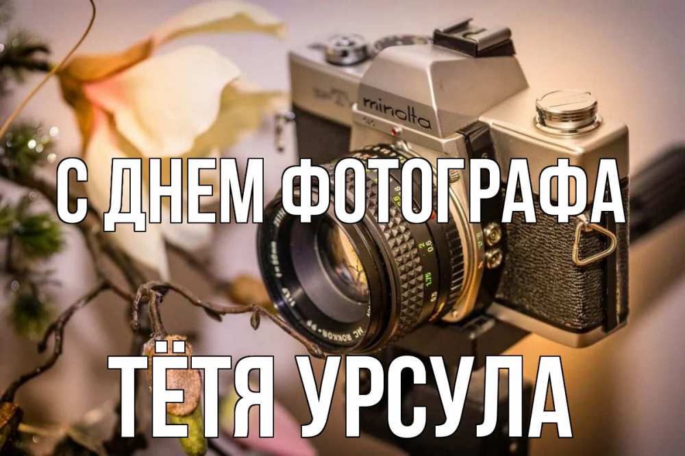 Открытка на каждый день с именем, Тётя-Урсула С днем фотографа с днем фотографа 1 Прикольная открытка с пожеланием онлайн скачать бесплатно 