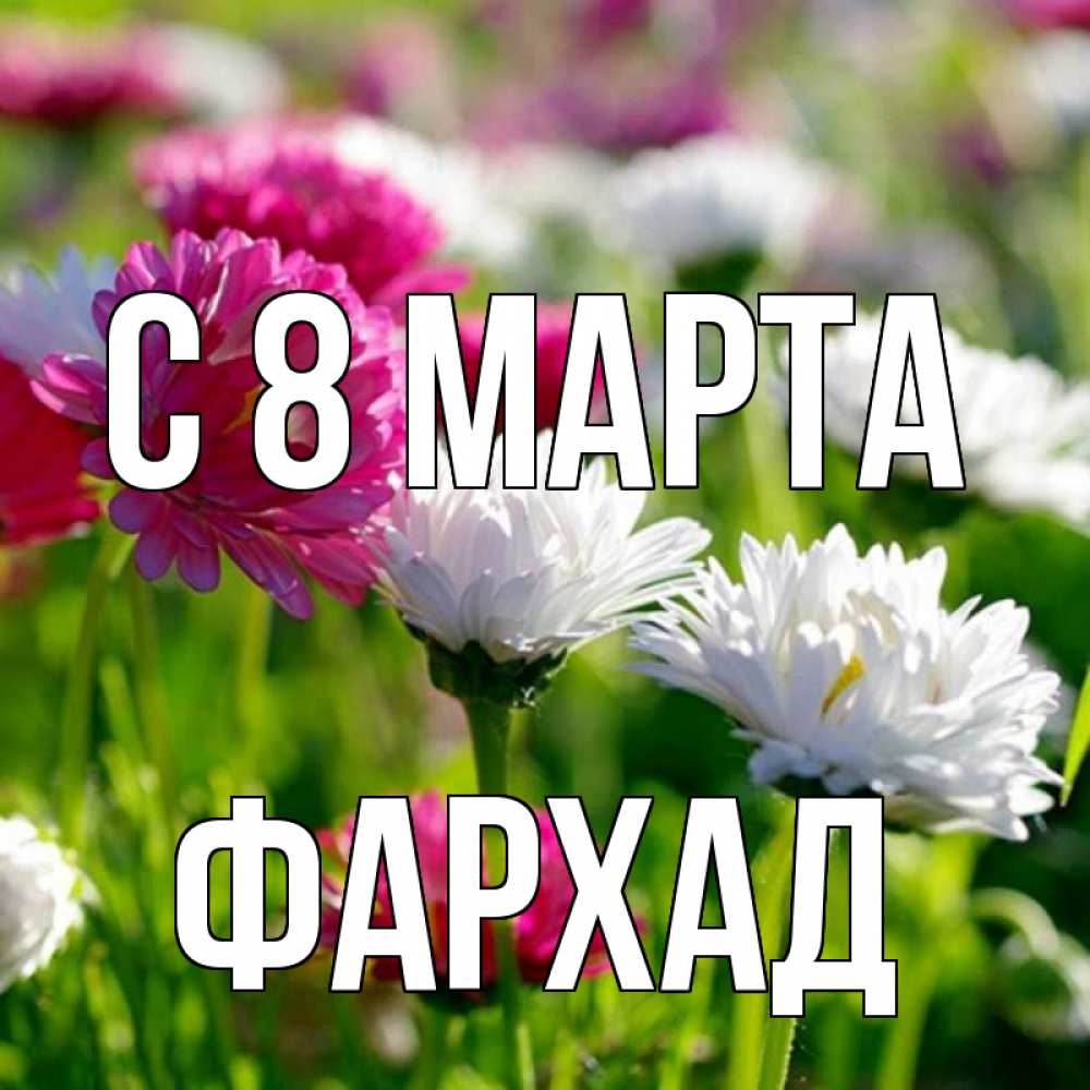 Открытка на каждый день с именем, Фархад С 8 марта международный женский день 1 Прикольная открытка с пожеланием онлайн скачать бесплатно 