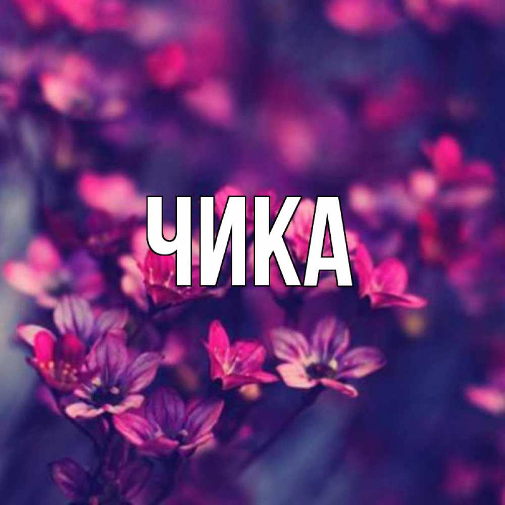 Открытка на каждый день с именем, Чика Главная небольшие цветы 1 Прикольная открытка с пожеланием онлайн скачать бесплатно 