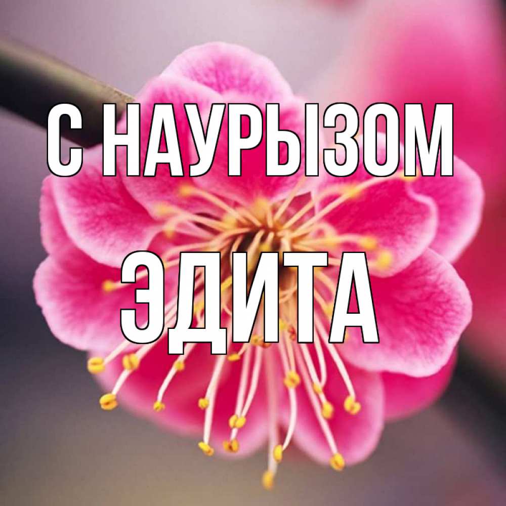 Открытка на каждый день с именем, Эдита С наурызом цветы Прикольная открытка с пожеланием онлайн скачать бесплатно 