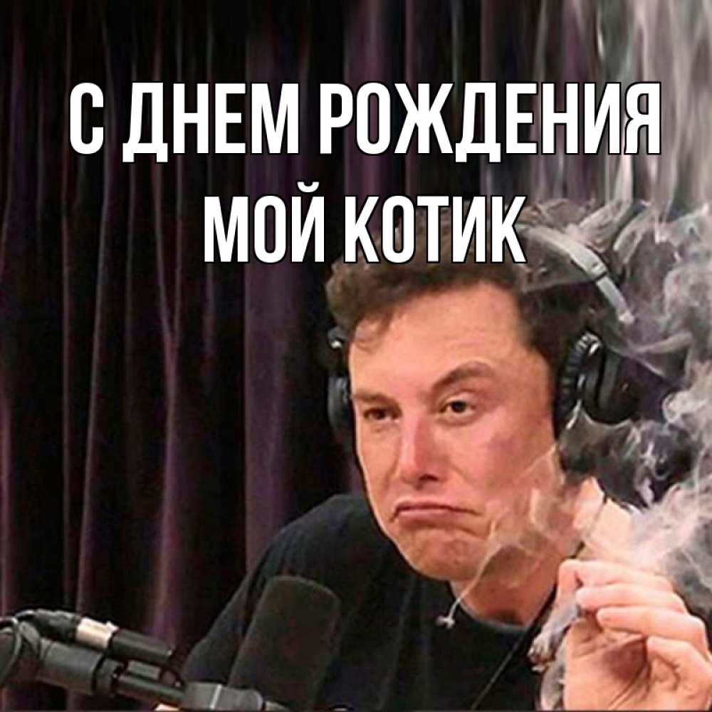 Открытка на каждый день с именем, мой-Котик С днем рождения МЕМ Прикольная открытка с пожеланием онлайн скачать бесплатно 