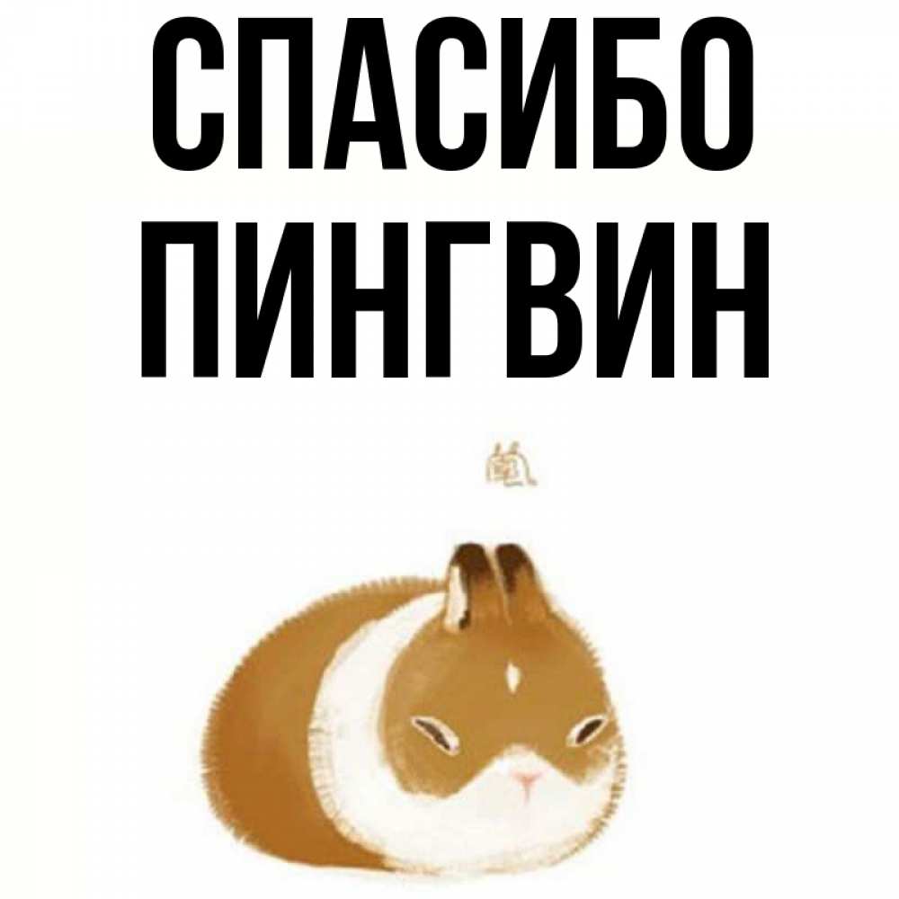 Открытка на каждый день с именем, пингвин Спасибо коричнево белый домашний питомец Прикольная открытка с пожеланием онлайн скачать бесплатно 