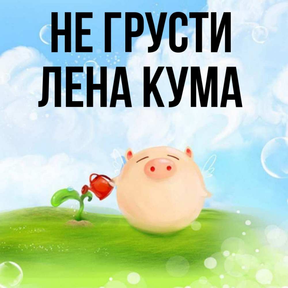 Кот кума