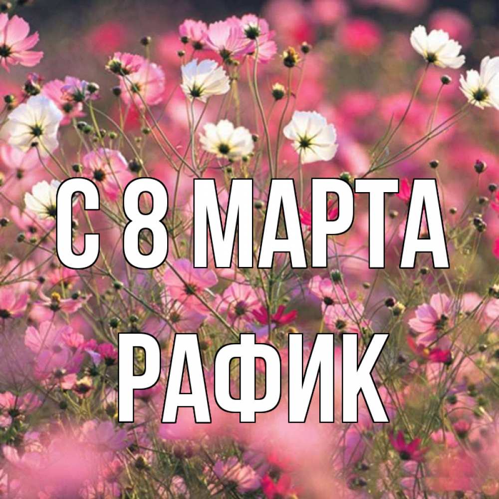 Картинка С 8 марта, Рафик