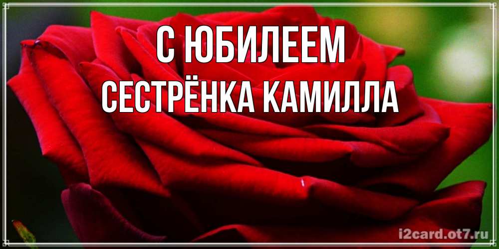 Открытка на каждый день с именем, Сестрёнка-Камилла С юбилеем розочка очень красивая Прикольная открытка с пожеланием онлайн скачать бесплатно 