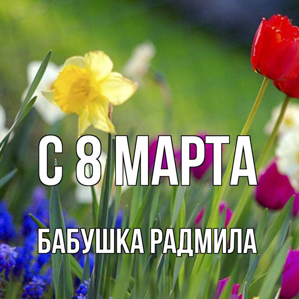 Открытка на каждый день с именем, Бабушка-Радмила С 8 МАРТА международный женский день 3 Прикольная открытка с пожеланием онлайн скачать бесплатно 