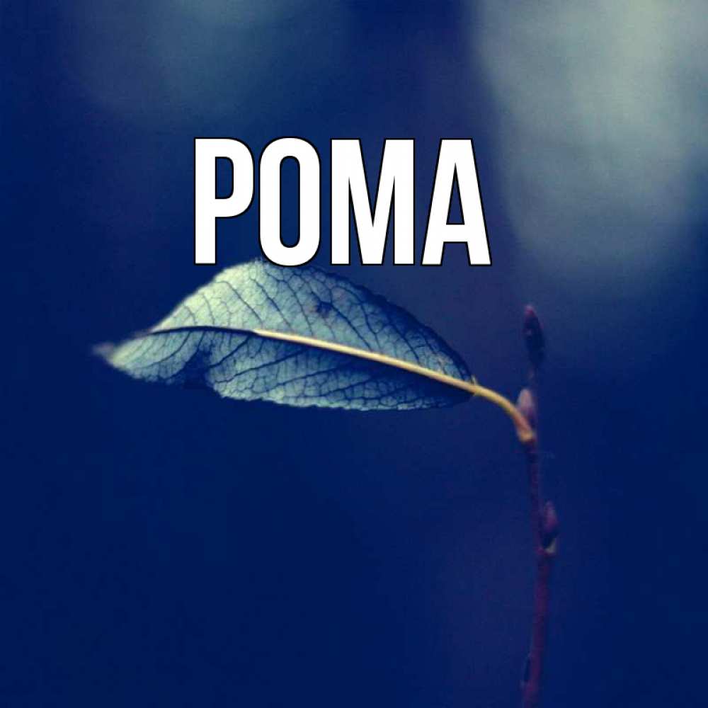 Картинка  с именем , Рома