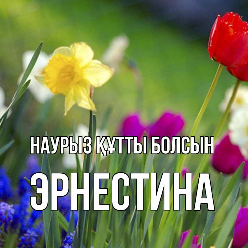 Открытка на каждый день с именем, Эрнестина Наурыз құтты болсын наурыз  3 открытки Прикольная открытка с пожеланием онлайн скачать бесплатно 