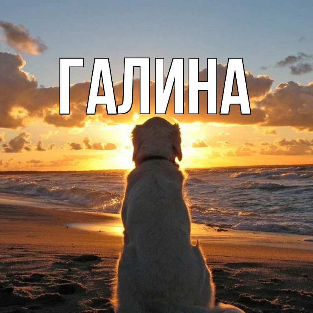 Открытка на каждый день с именем, Галина Главная восход солнца Прикольная открытка с пожеланием онлайн скачать бесплатно 