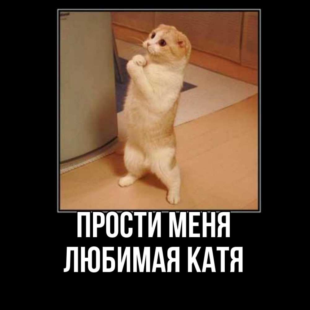 Слушать извини. Катерина исполнитель. Katerina исполнитель. Альбом извини. Слушать прости меня малыш.