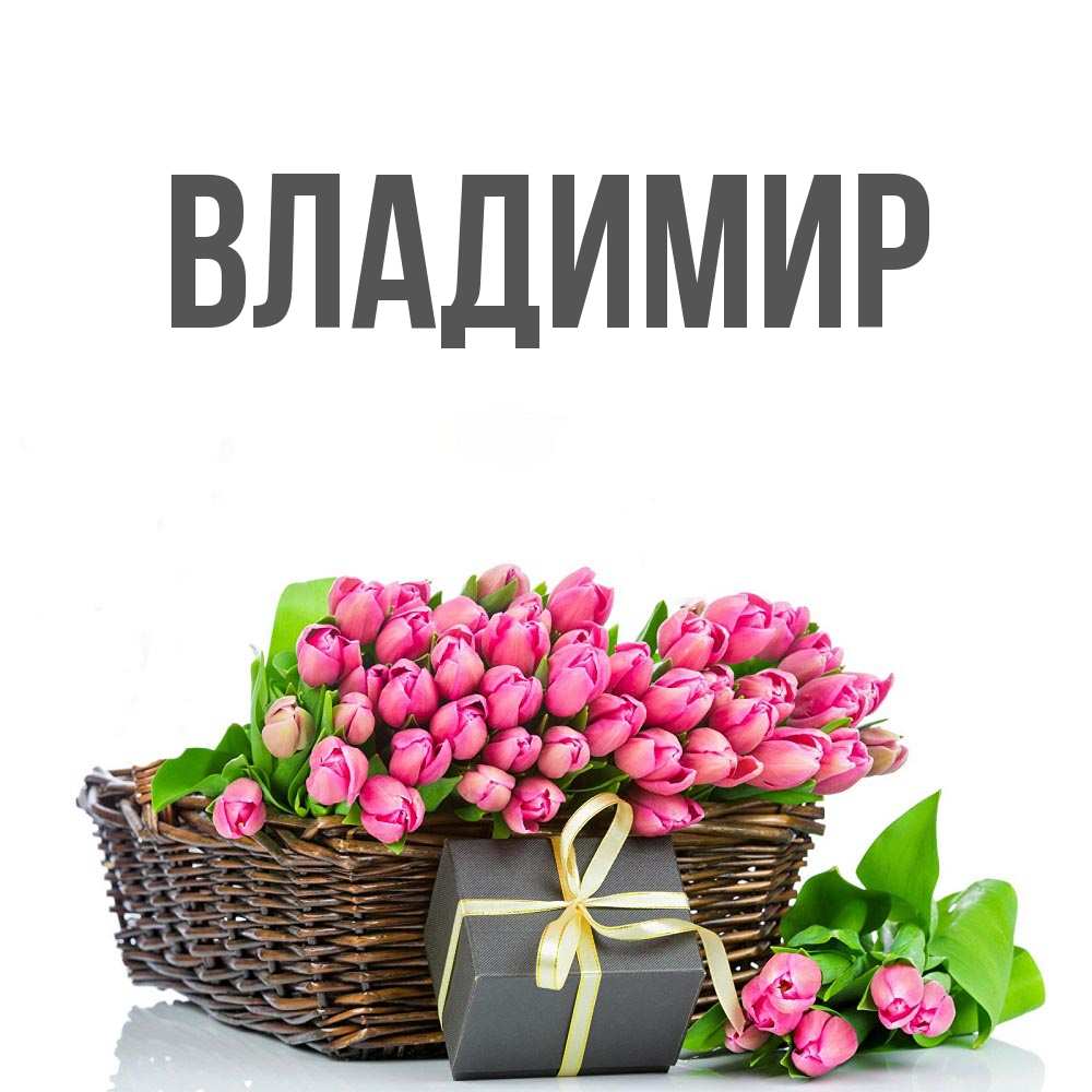 Открытка на каждый день с именем, Владимир Главная цветы Прикольная открытка с пожеланием онлайн скачать бесплатно 