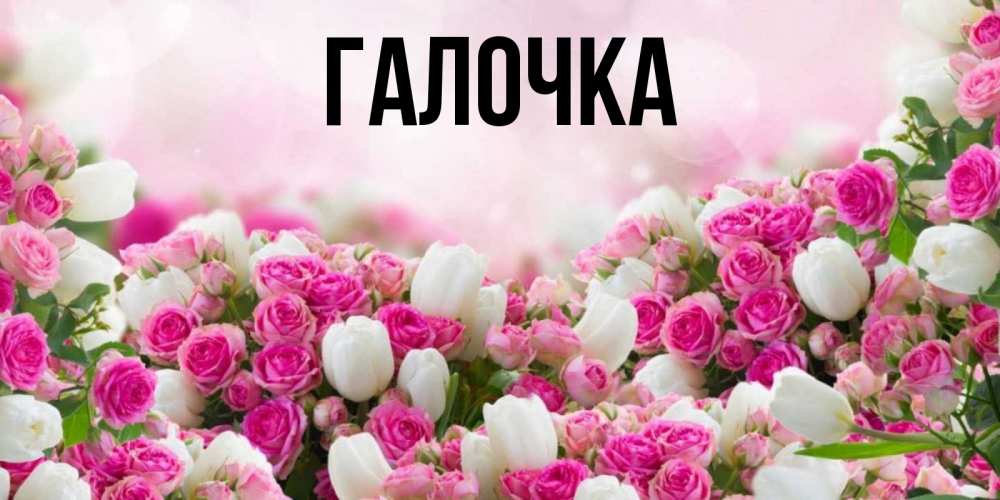 Открытка на каждый день с именем, Галочка Главная открытка с разными розами Прикольная открытка с пожеланием онлайн скачать бесплатно 