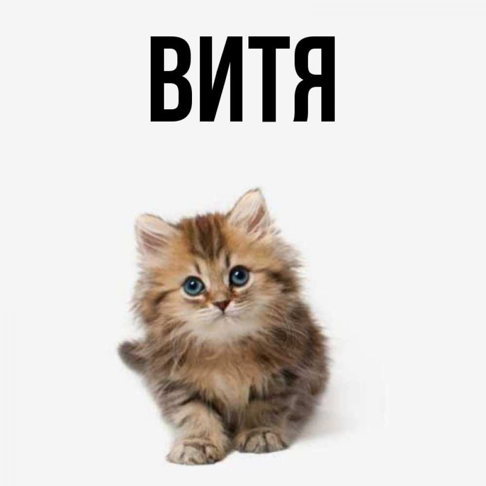 Картинки с именем витя