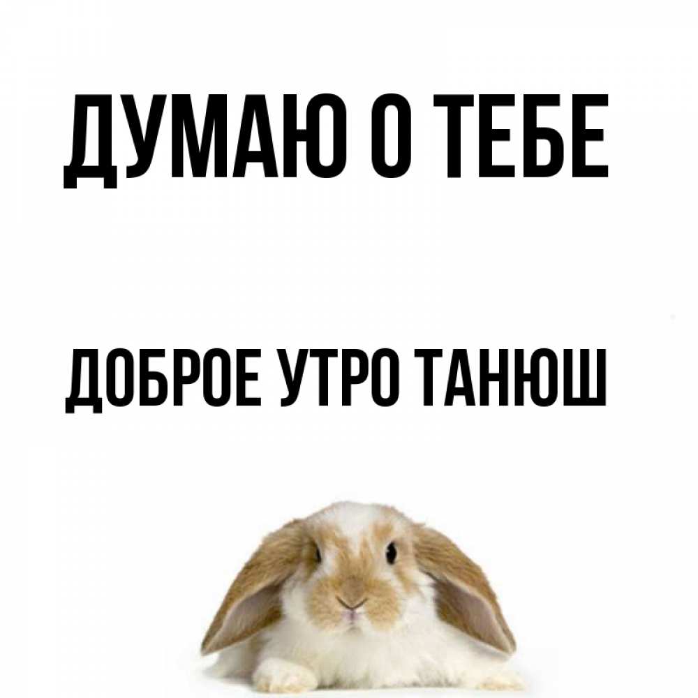 Картинки с добрым утром танюшка