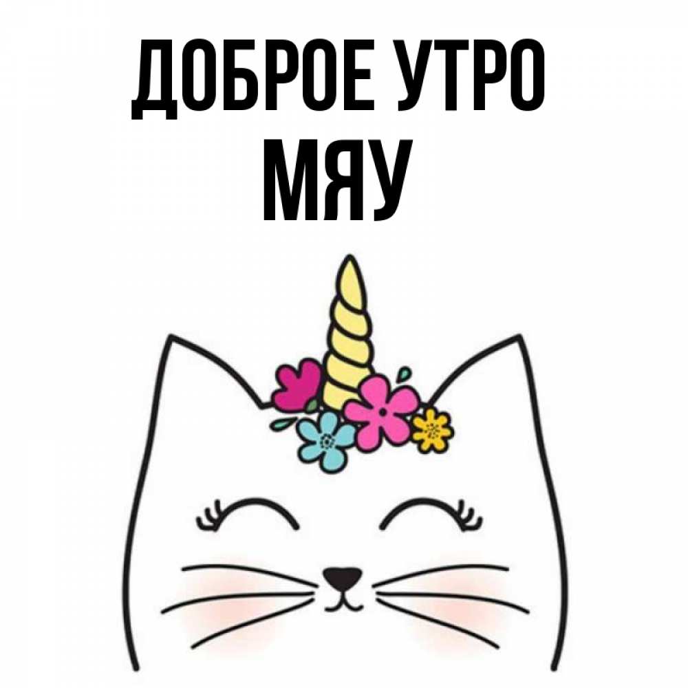 Доброе утро мяу картинки